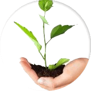 pousse arbre main 2 189x189